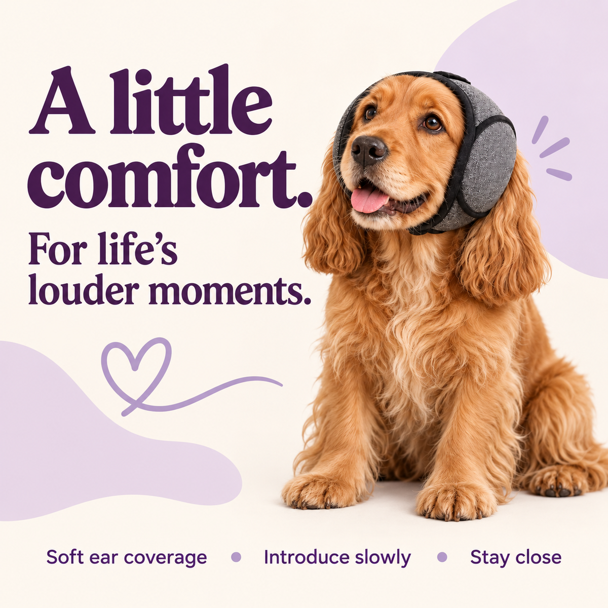Quiet Hood: soft ear coverage, introduce slowly, stay close.
