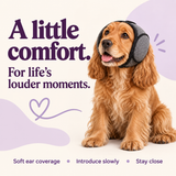 Quiet Hood: soft ear coverage, introduce slowly, stay close.