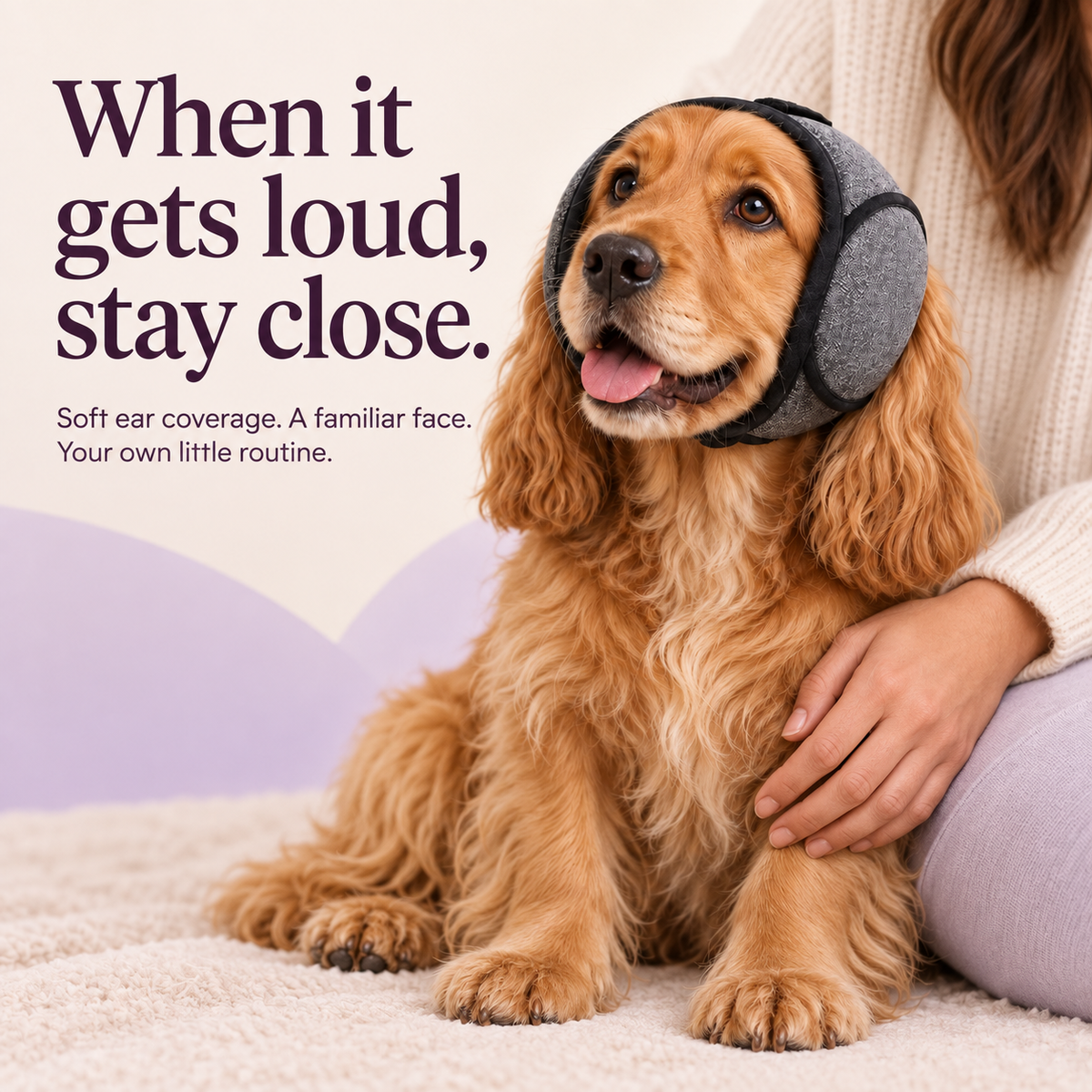 When it gets loud, stay close. Quiet Hood soft ear coverage and a familiar routine.